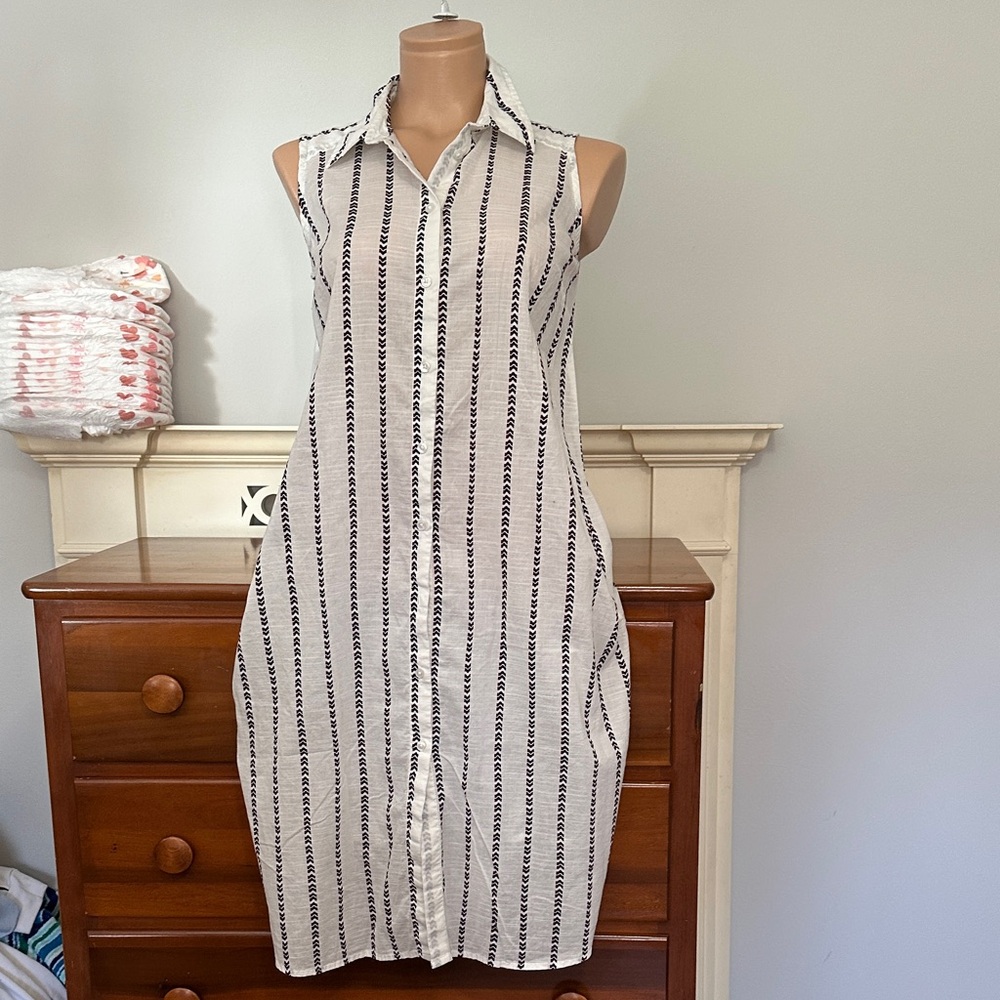 Zara Black and White Striped Dress